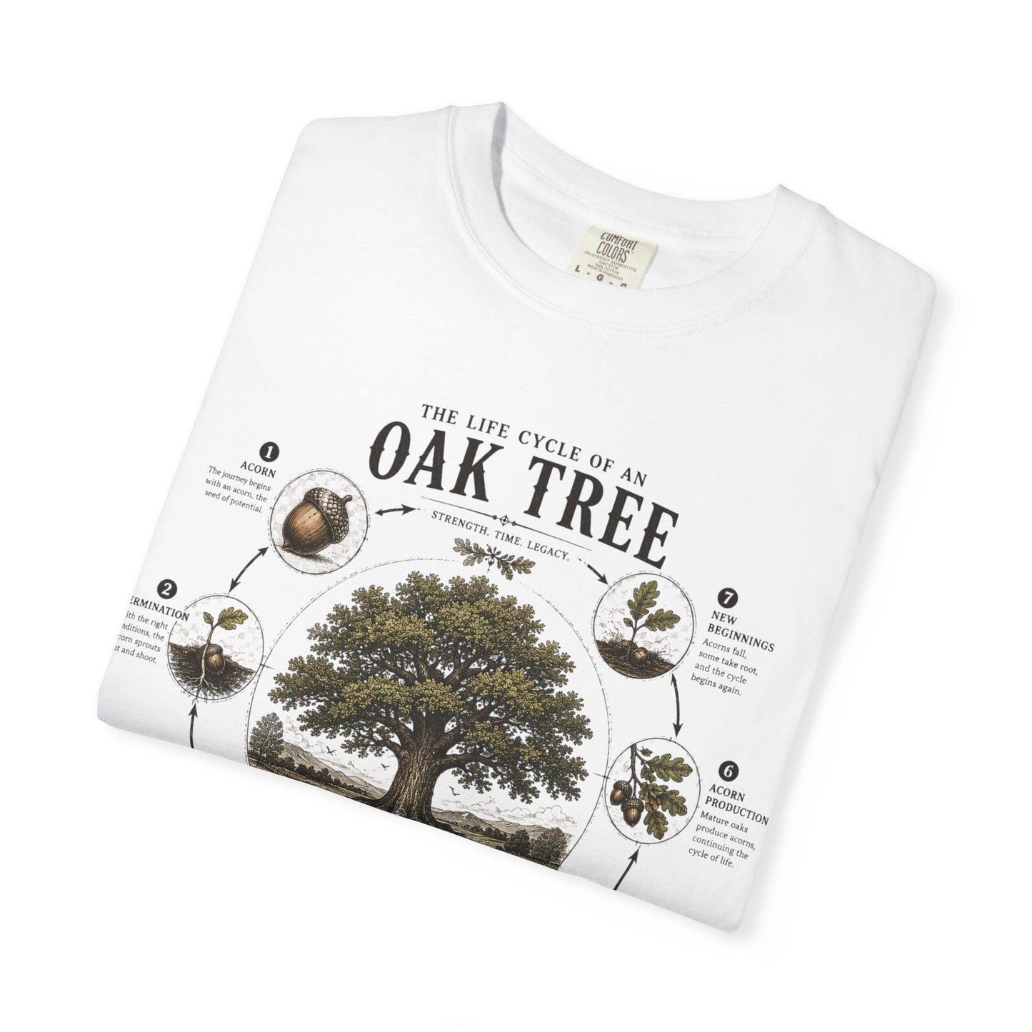 Oak Tree Anatomy T-Shirt — Botanical Illustration & Life Cycle Diagram