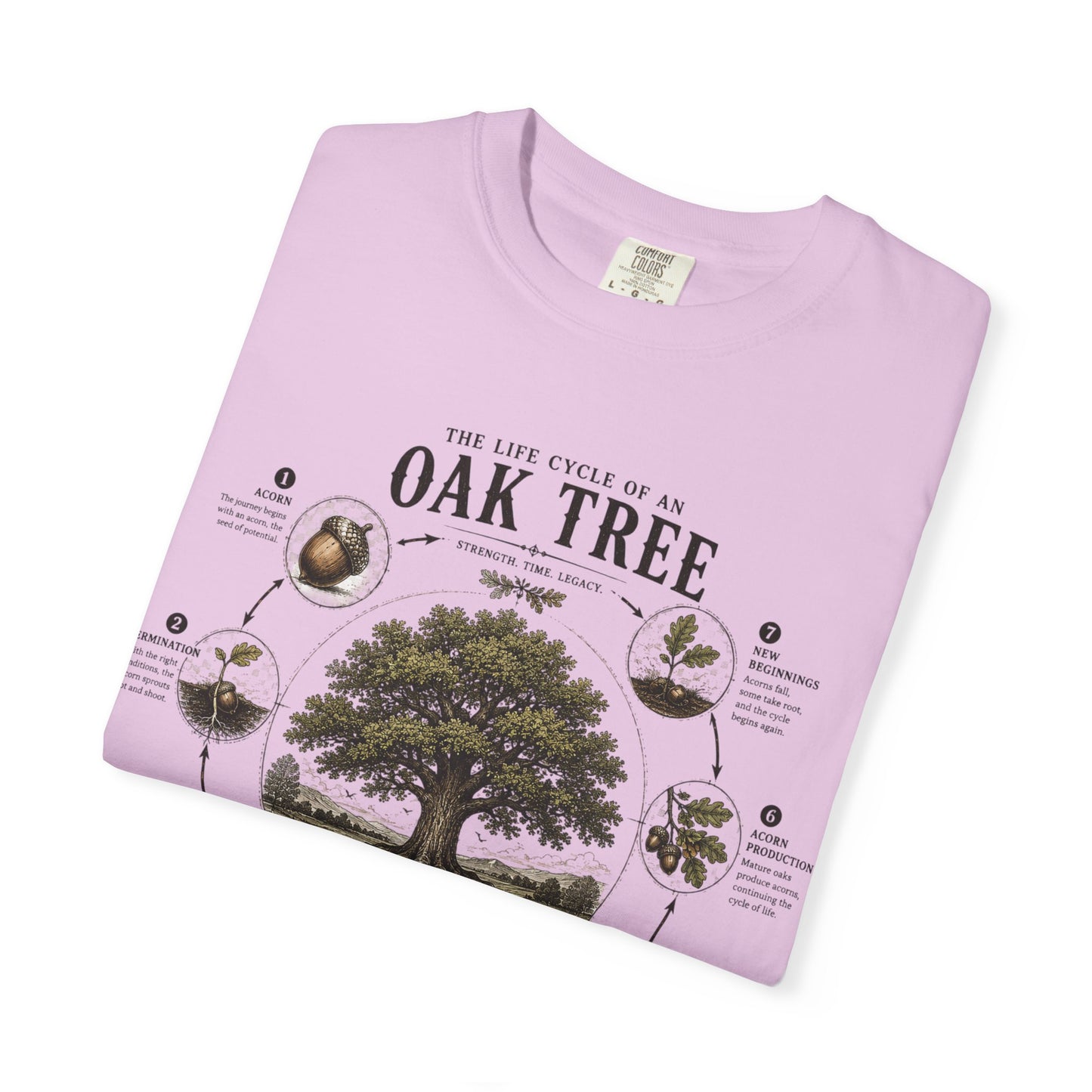 Oak Tree Anatomy T-Shirt — Botanical Illustration & Life Cycle Diagram