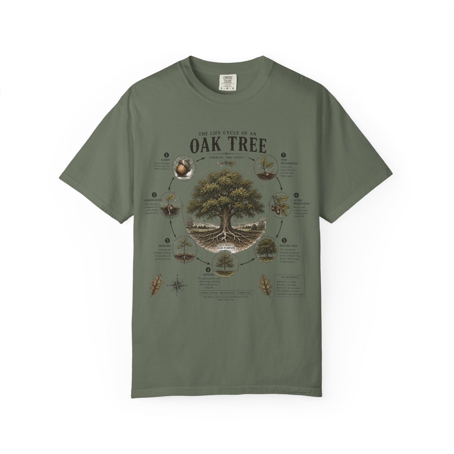 Oak Tree Anatomy T-Shirt — Botanical Illustration & Life Cycle Diagram