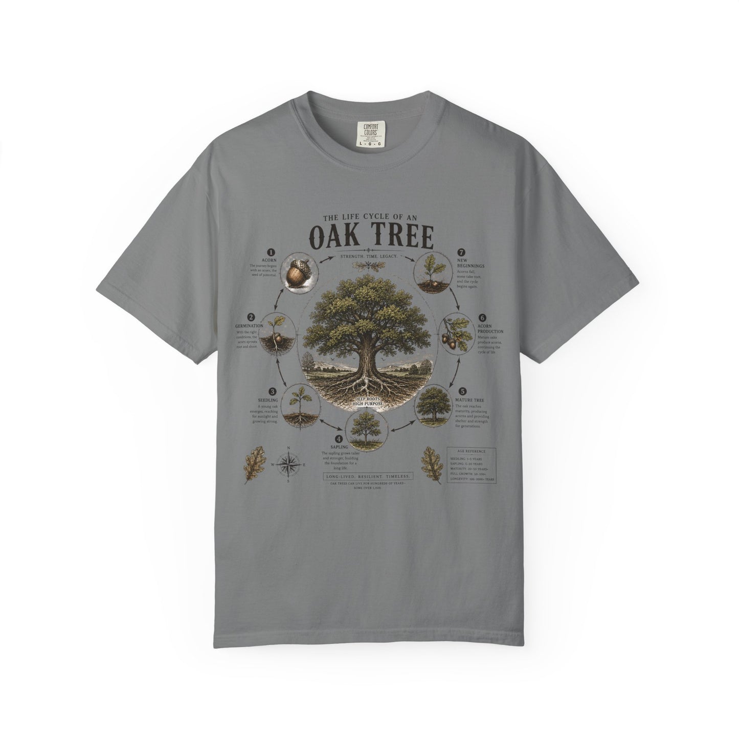 Oak Tree Anatomy T-Shirt — Botanical Illustration & Life Cycle Diagram