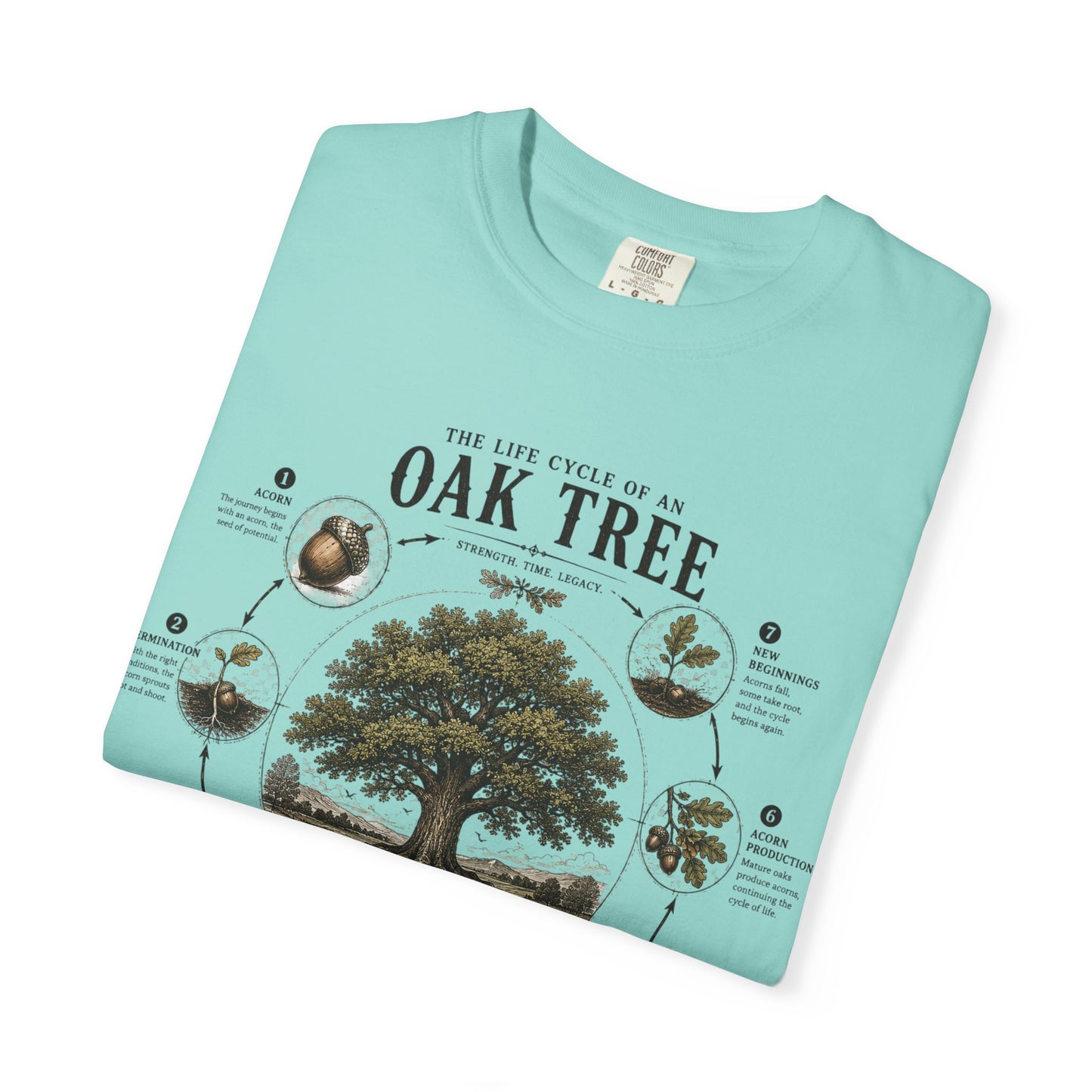 Oak Tree Anatomy T-Shirt — Botanical Illustration & Life Cycle Diagram