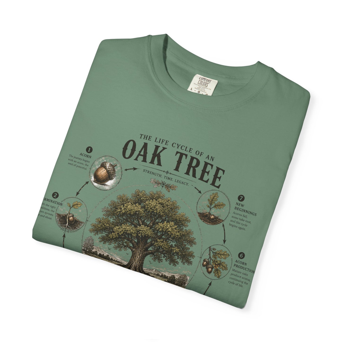 Oak Tree Anatomy T-Shirt — Botanical Illustration & Life Cycle Diagram