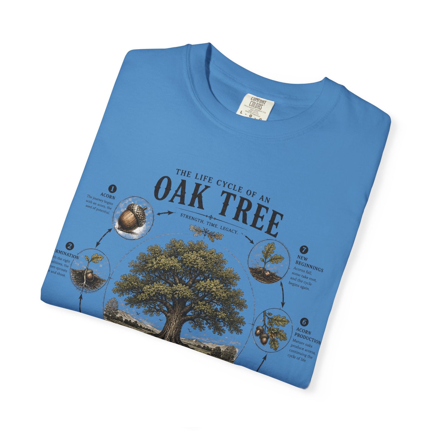 Oak Tree Anatomy T-Shirt — Botanical Illustration & Life Cycle Diagram