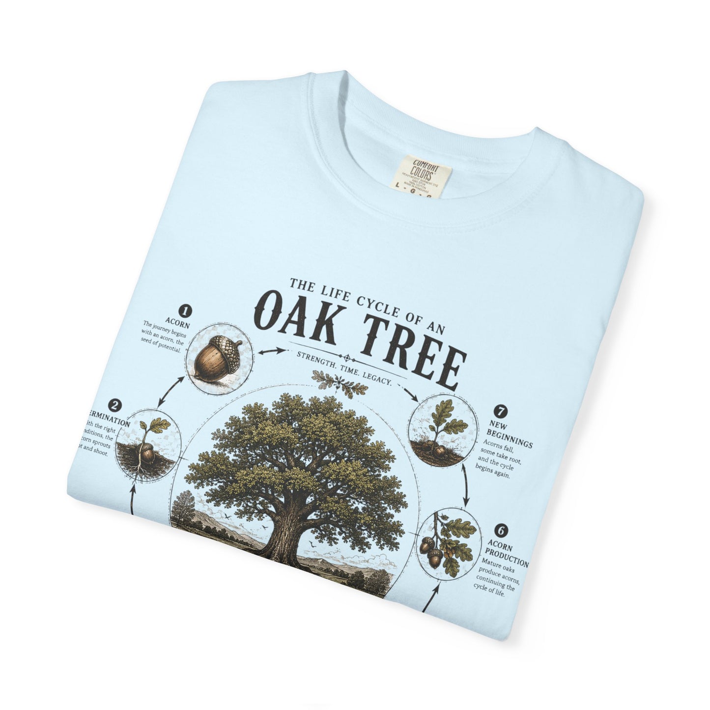 Oak Tree Anatomy T-Shirt — Botanical Illustration & Life Cycle Diagram