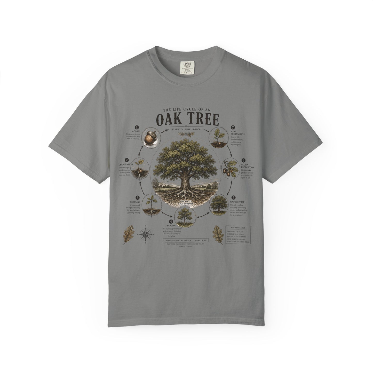 Oak Tree Anatomy T-Shirt — Botanical Illustration & Life Cycle Diagram
