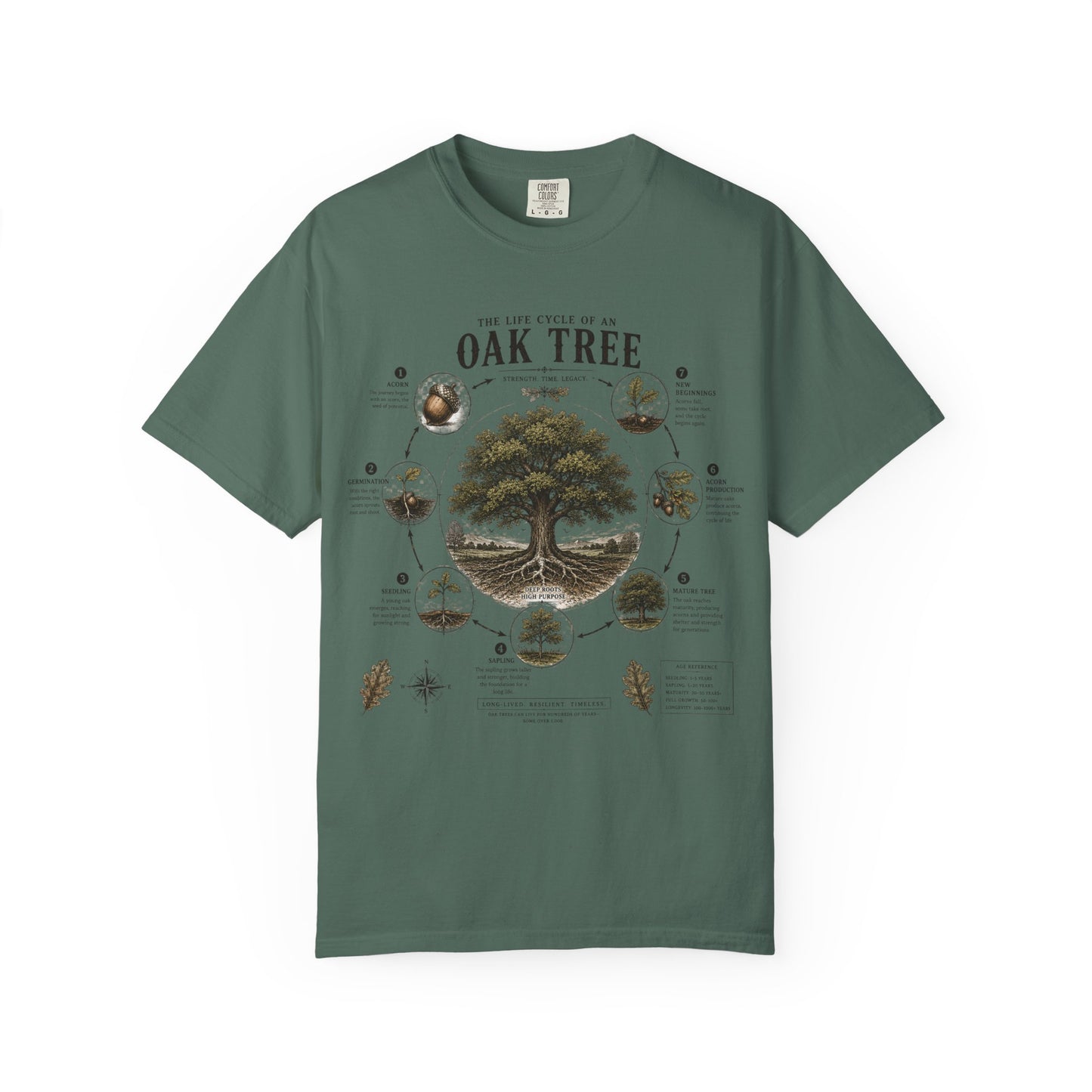 Oak Tree Anatomy T-Shirt — Botanical Illustration & Life Cycle Diagram