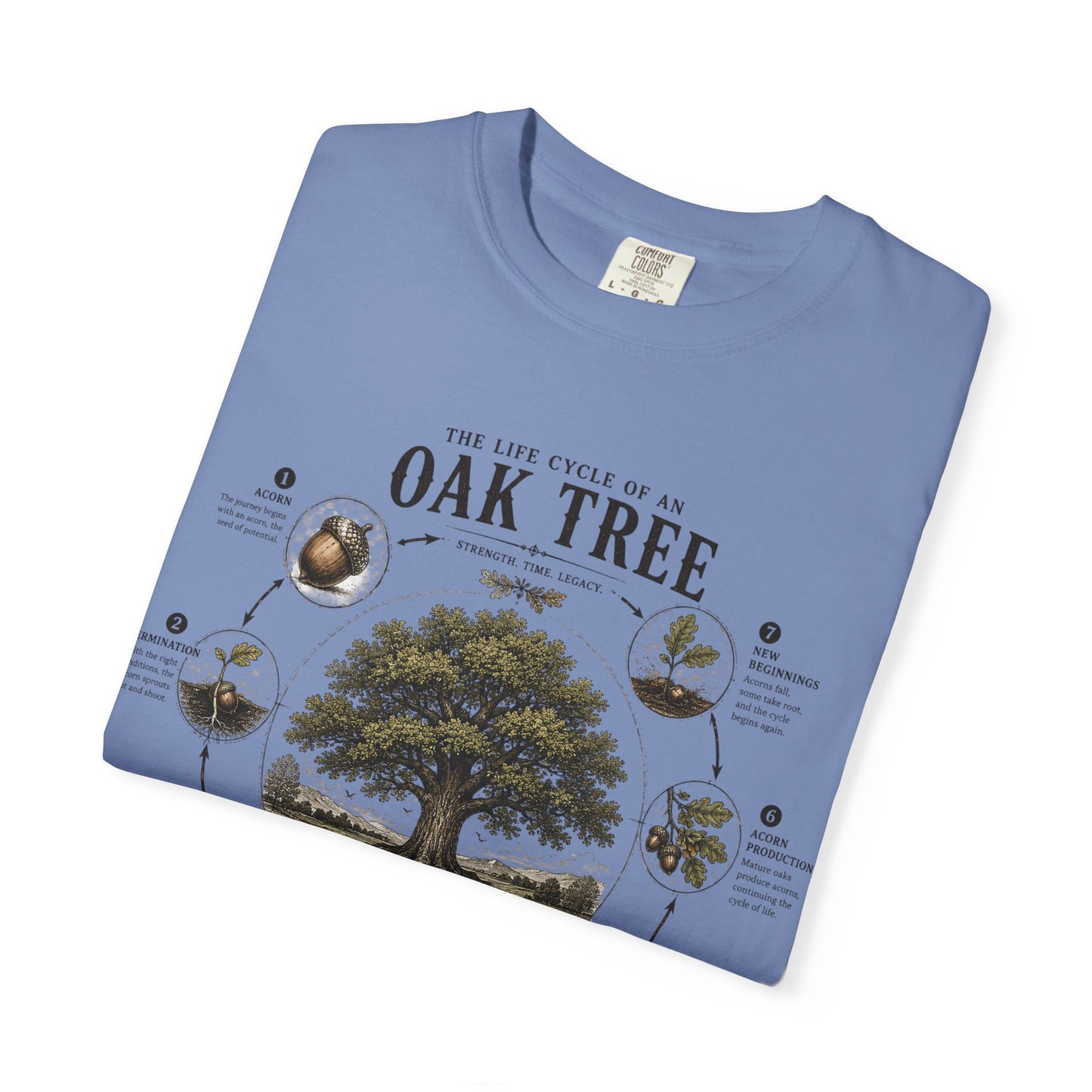 Oak Tree Anatomy T-Shirt — Botanical Illustration & Life Cycle Diagram