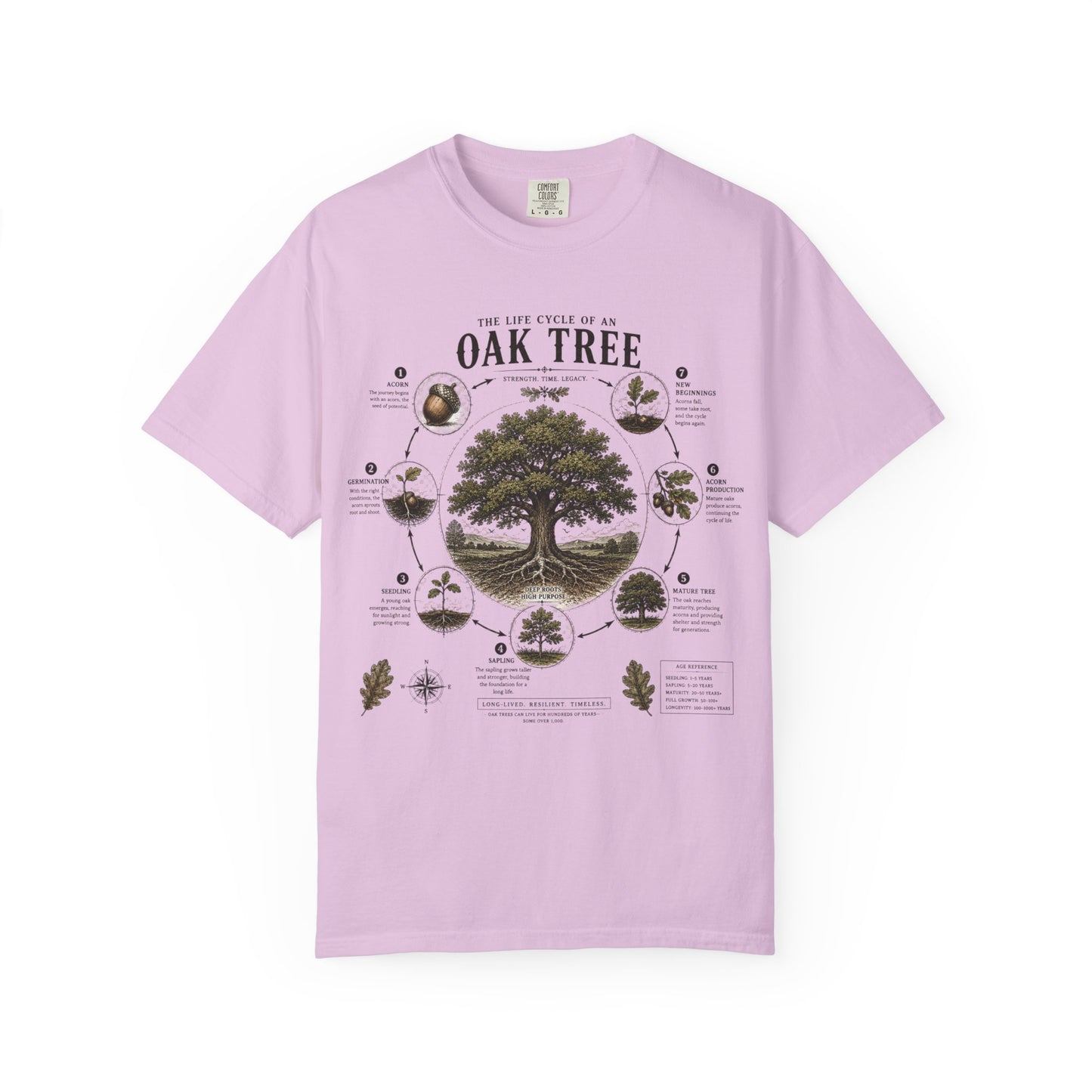 Oak Tree Anatomy T-Shirt — Botanical Illustration & Life Cycle Diagram