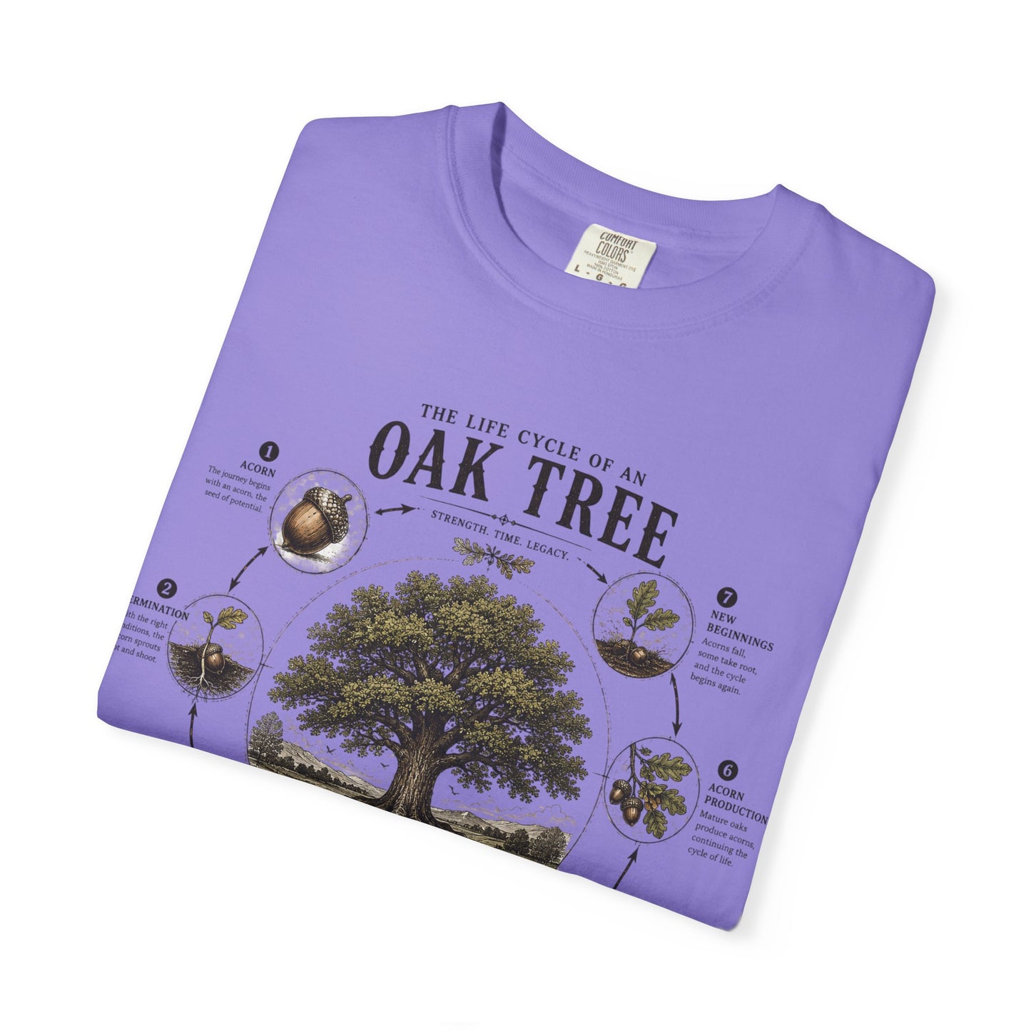 Oak Tree Anatomy T-Shirt — Botanical Illustration & Life Cycle Diagram