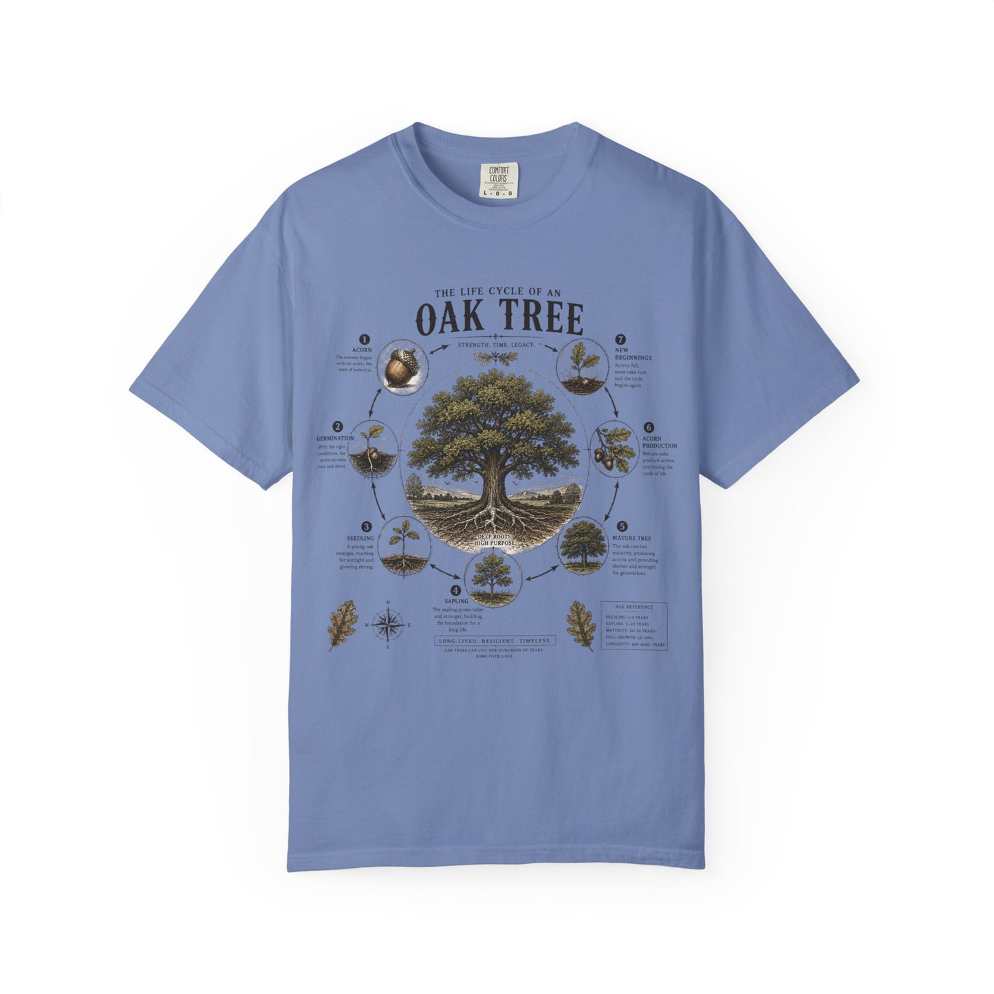 Oak Tree Anatomy T-Shirt — Botanical Illustration & Life Cycle Diagram