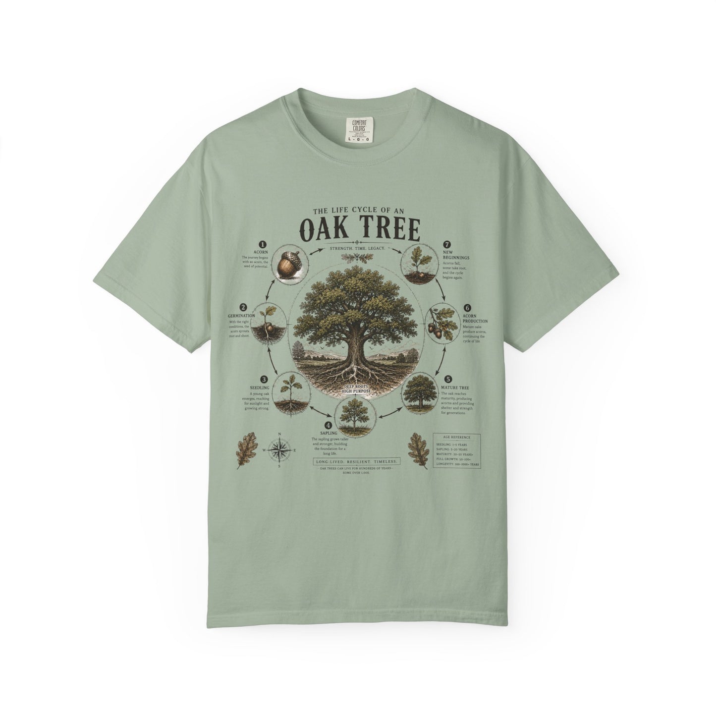 Oak Tree Anatomy T-Shirt — Botanical Illustration & Life Cycle Diagram