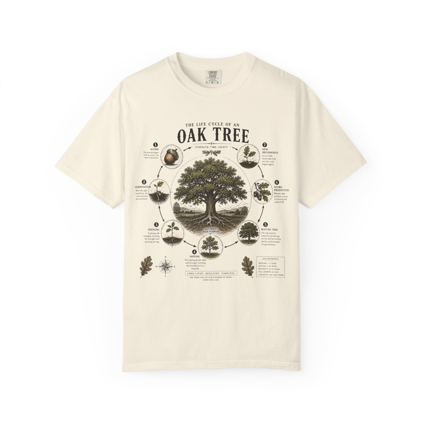 Oak Tree Anatomy T-Shirt — Botanical Illustration & Life Cycle Diagram