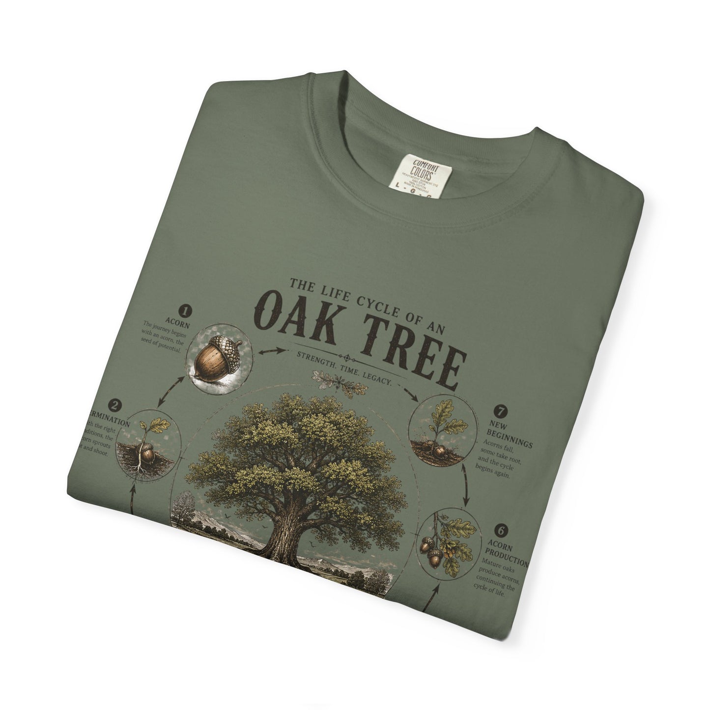 Oak Tree Anatomy T-Shirt — Botanical Illustration & Life Cycle Diagram
