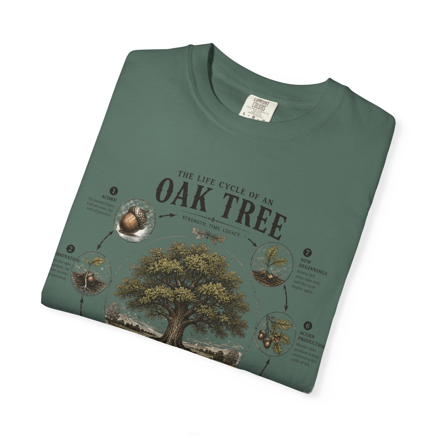 Oak Tree Anatomy T-Shirt — Botanical Illustration & Life Cycle Diagram