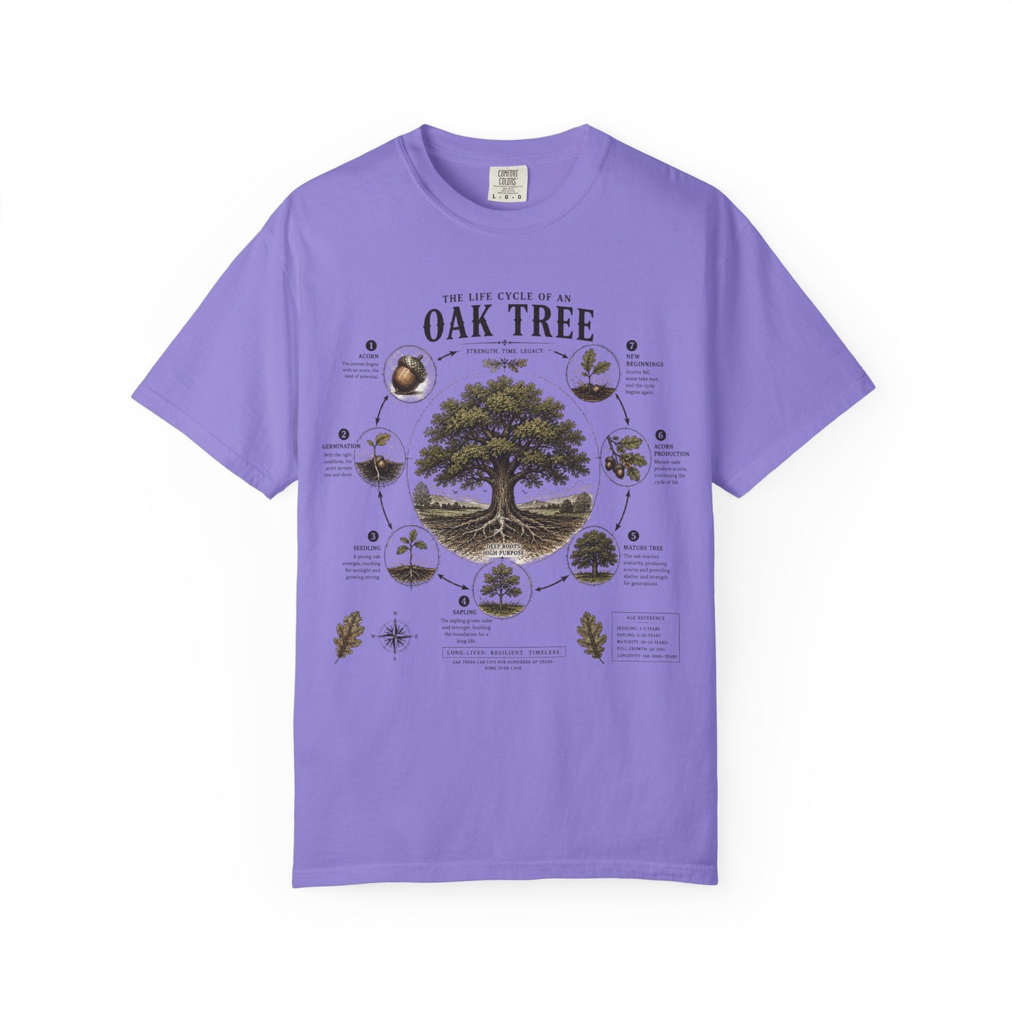 Oak Tree Anatomy T-Shirt — Botanical Illustration & Life Cycle Diagram