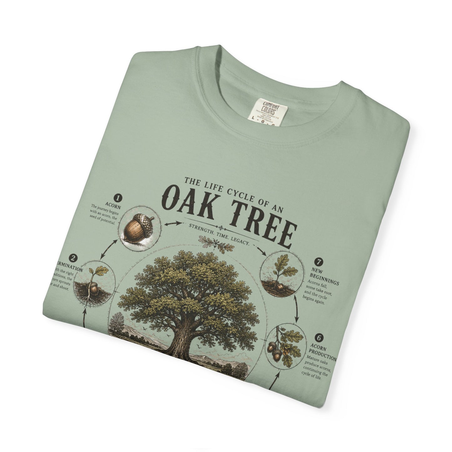 Oak Tree Anatomy T-Shirt — Botanical Illustration & Life Cycle Diagram