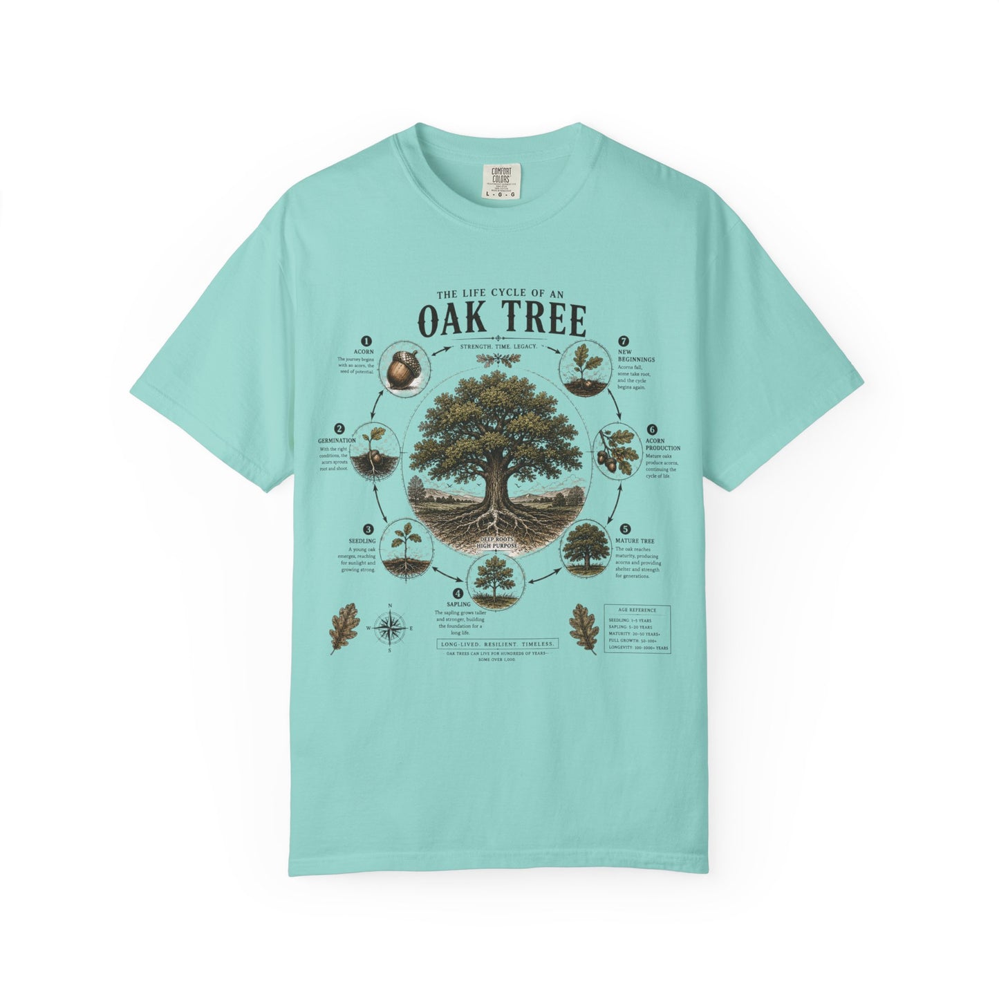 Oak Tree Anatomy T-Shirt — Botanical Illustration & Life Cycle Diagram