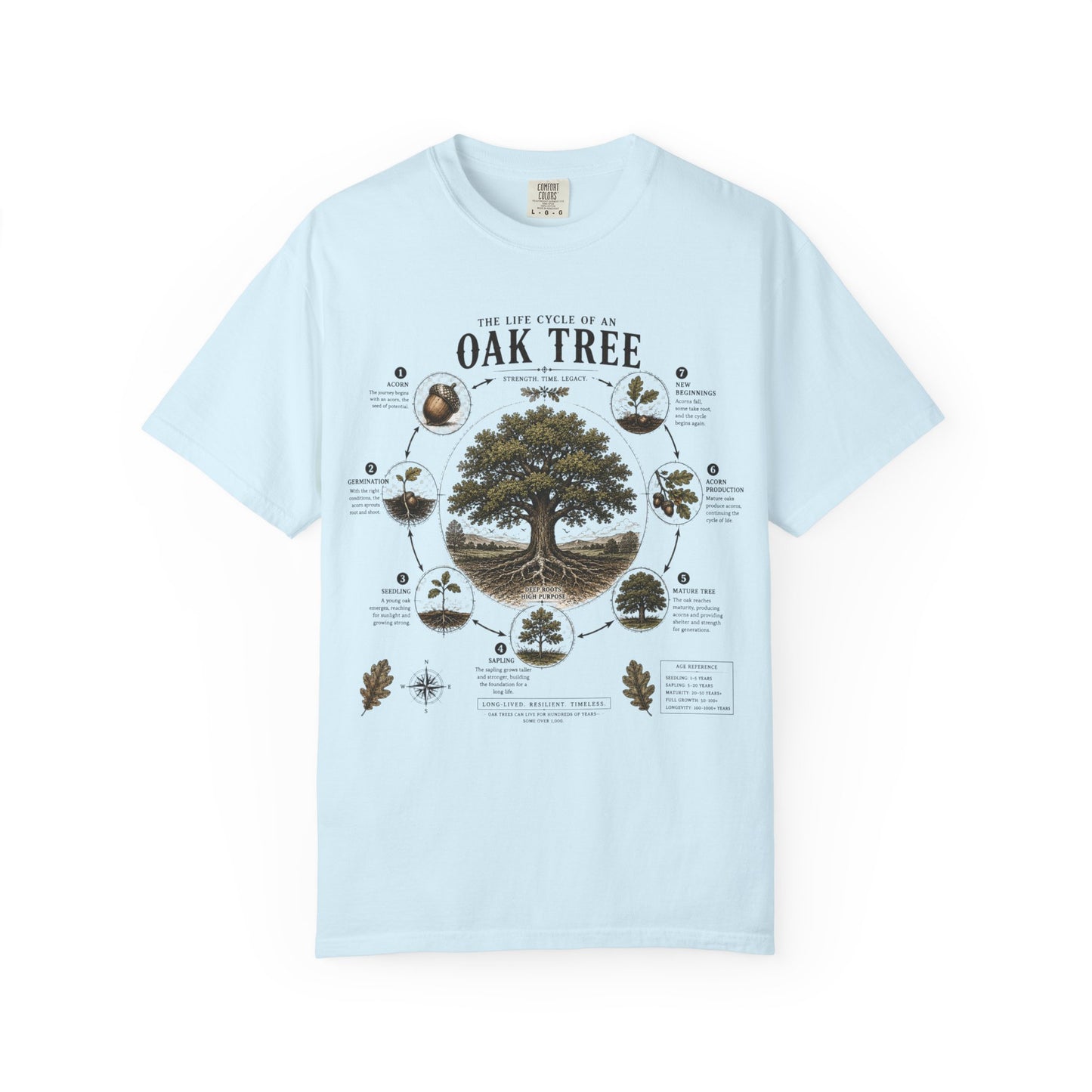 Oak Tree Anatomy T-Shirt — Botanical Illustration & Life Cycle Diagram
