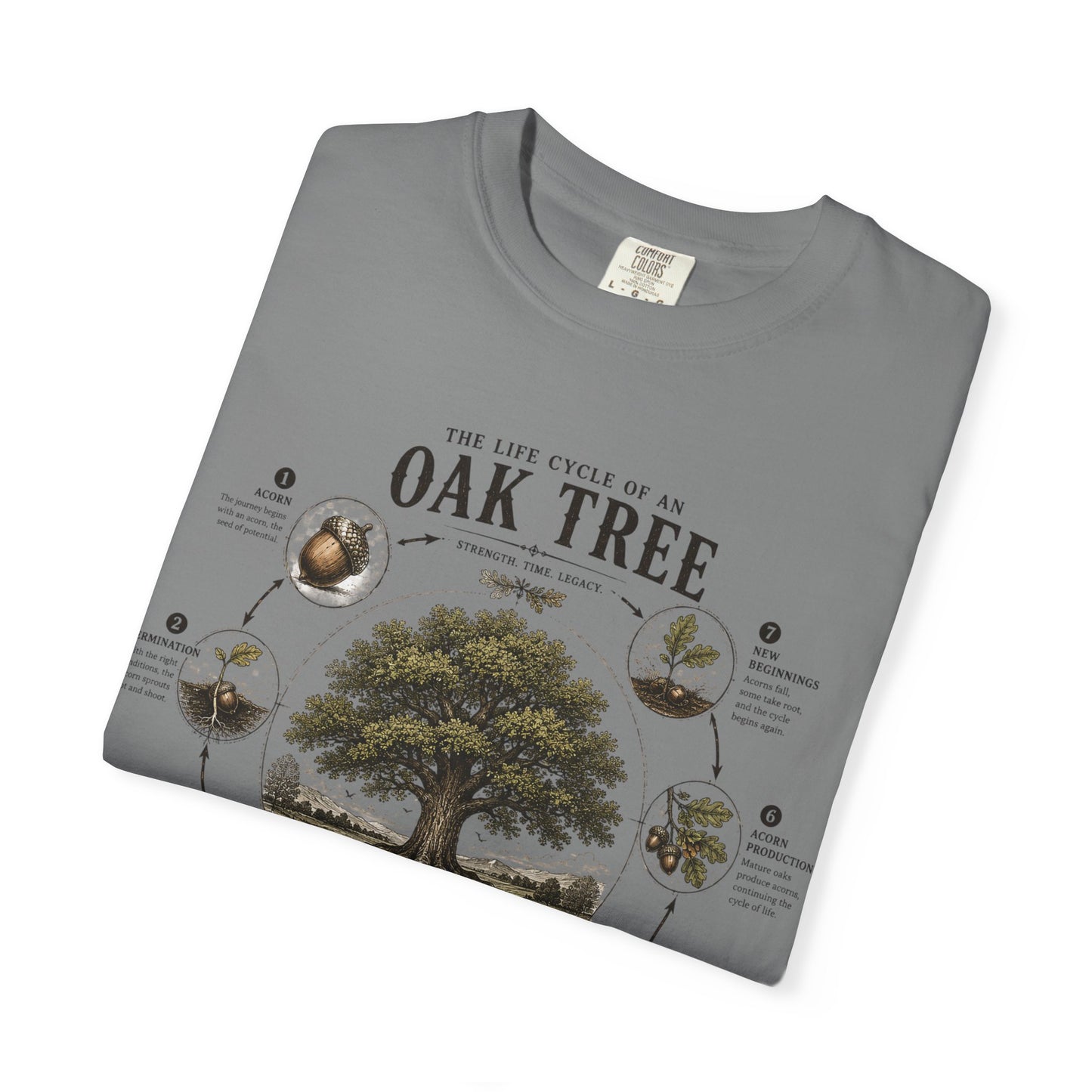 Oak Tree Anatomy T-Shirt — Botanical Illustration & Life Cycle Diagram