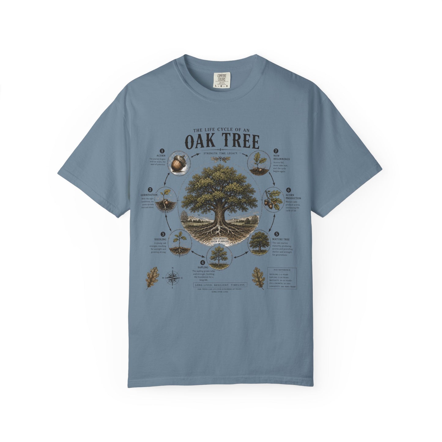 Oak Tree Anatomy T-Shirt — Botanical Illustration & Life Cycle Diagram