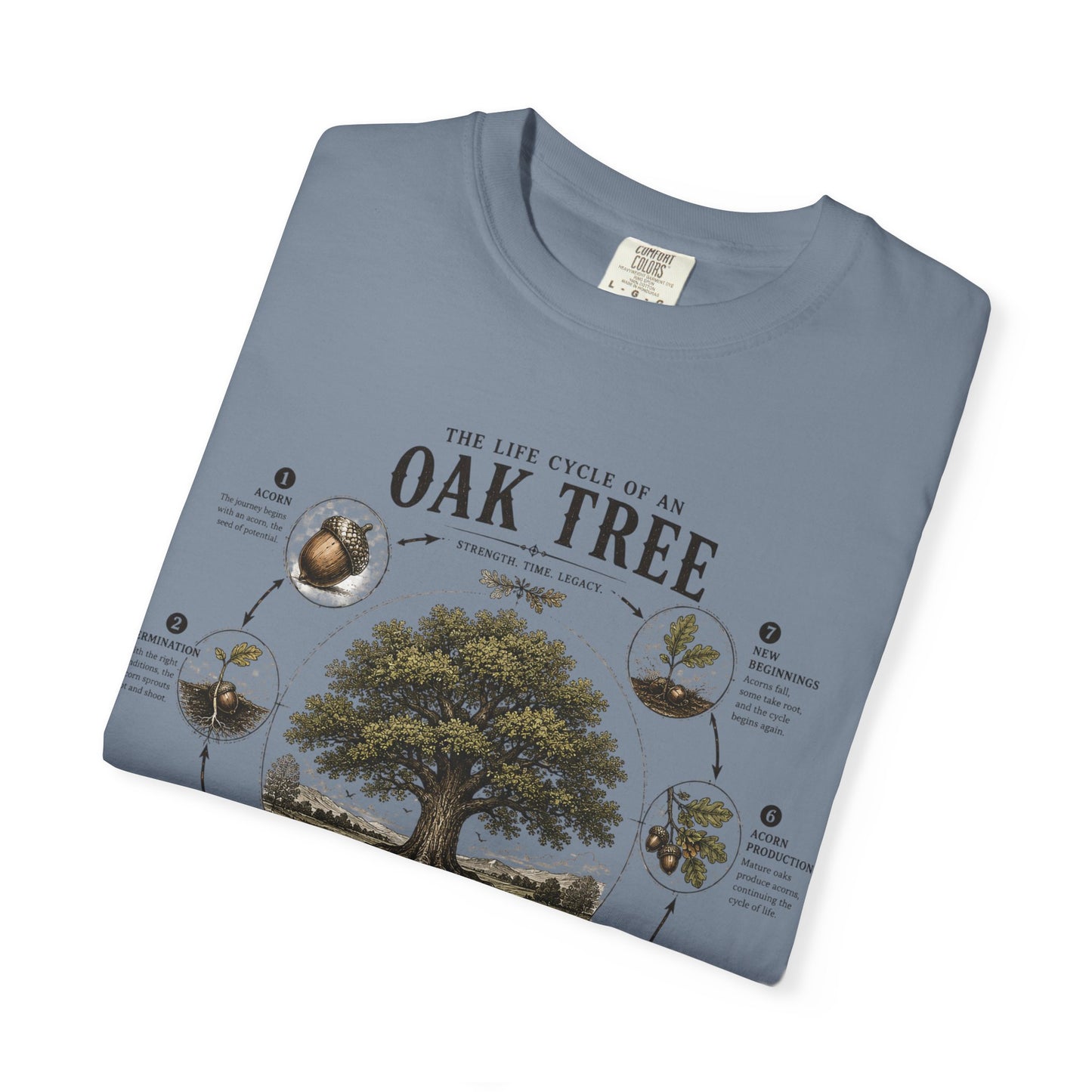 Oak Tree Anatomy T-Shirt — Botanical Illustration & Life Cycle Diagram
