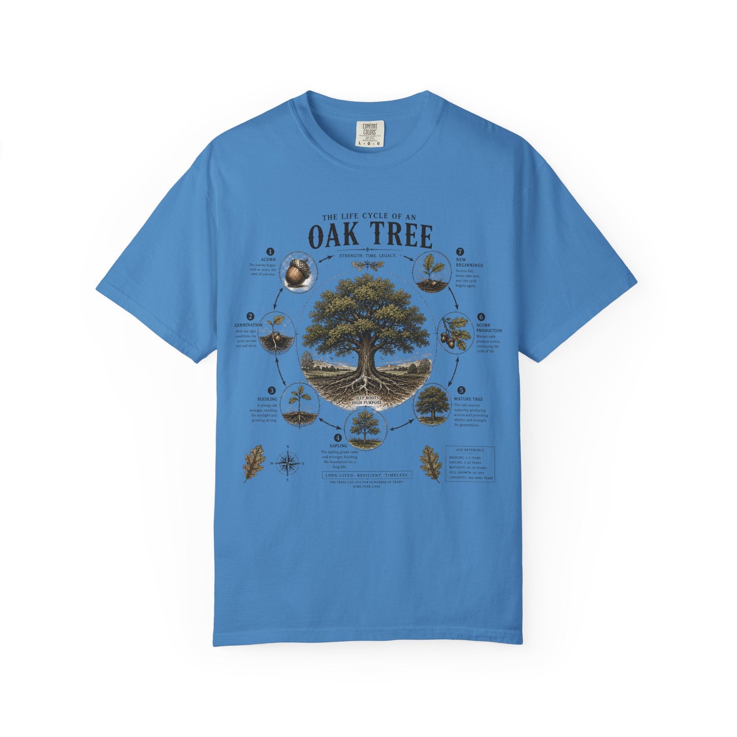 Oak Tree Anatomy T-Shirt — Botanical Illustration & Life Cycle Diagram