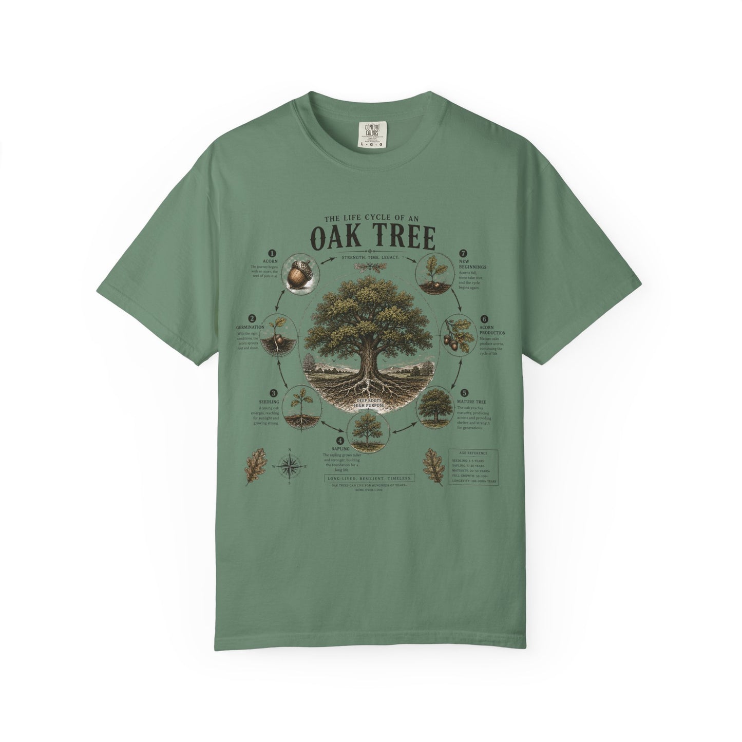 Oak Tree Anatomy T-Shirt — Botanical Illustration & Life Cycle Diagram