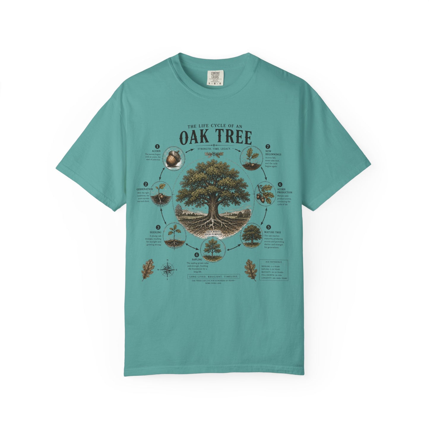 Oak Tree Anatomy T-Shirt — Botanical Illustration & Life Cycle Diagram
