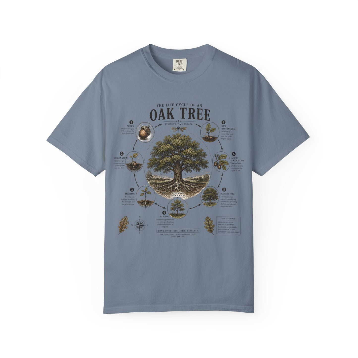 Oak Tree Anatomy T-Shirt — Botanical Illustration & Life Cycle Diagram