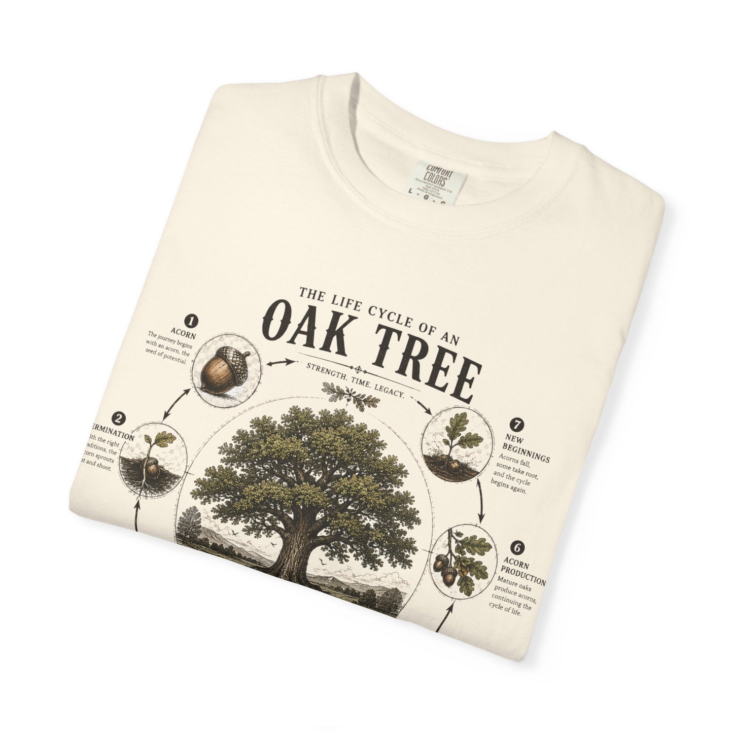 Oak Tree Anatomy T-Shirt — Botanical Illustration & Life Cycle Diagram