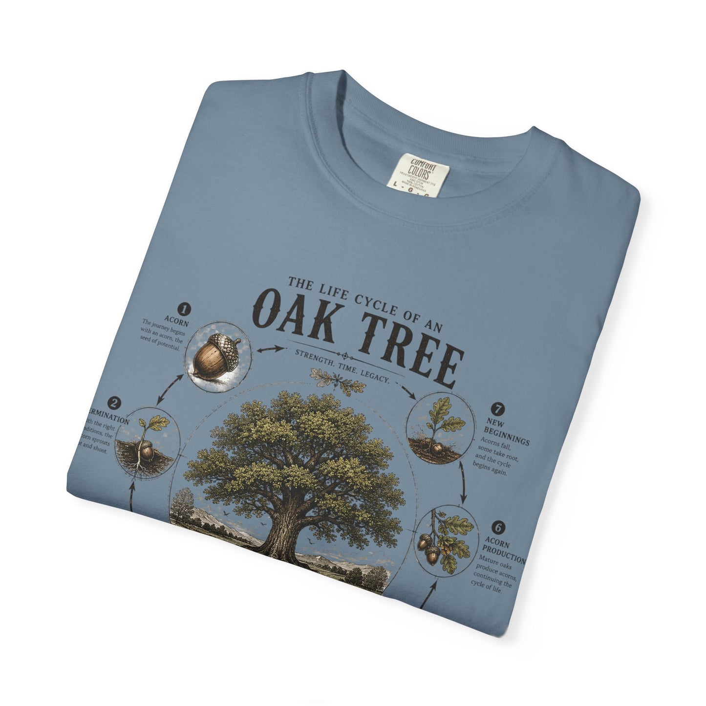 Oak Tree Anatomy T-Shirt — Botanical Illustration & Life Cycle Diagram