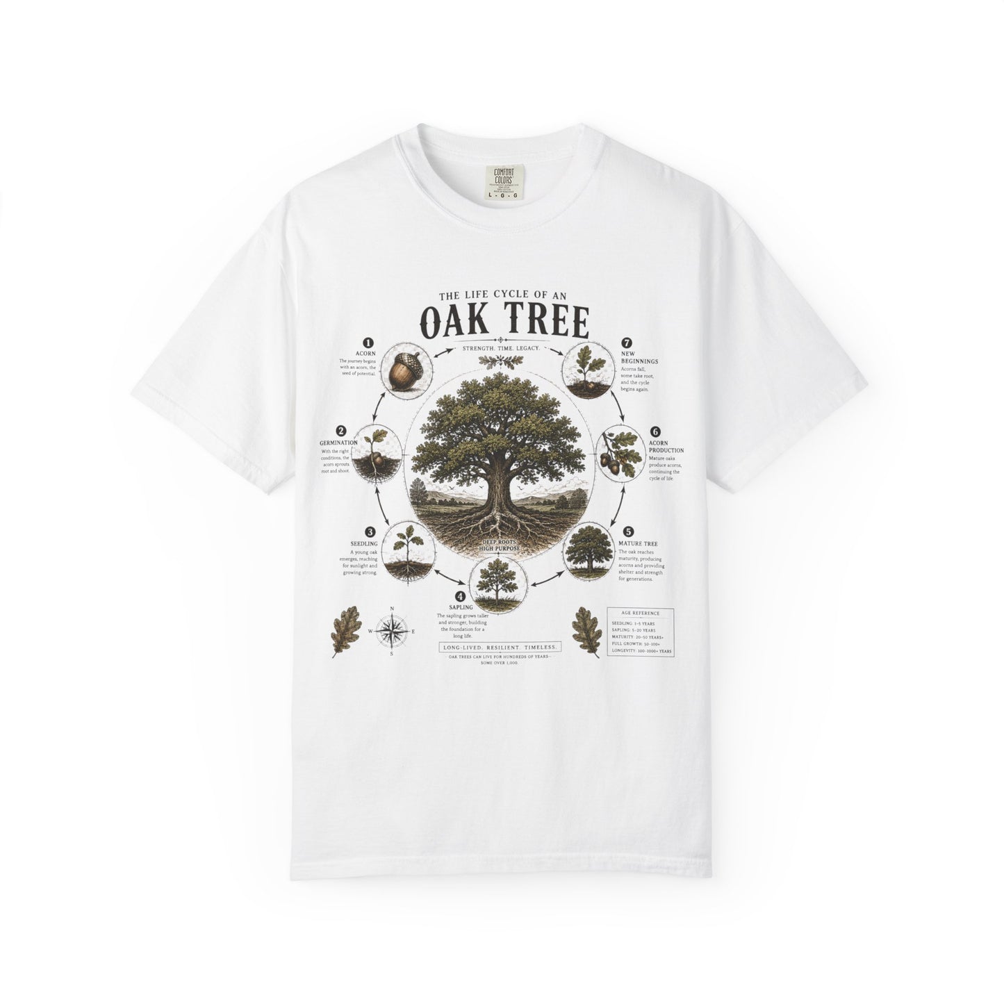 Oak Tree Anatomy T-Shirt — Botanical Illustration & Life Cycle Diagram
